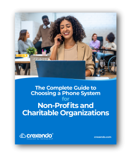 Webpage ebook preview - nonprofit